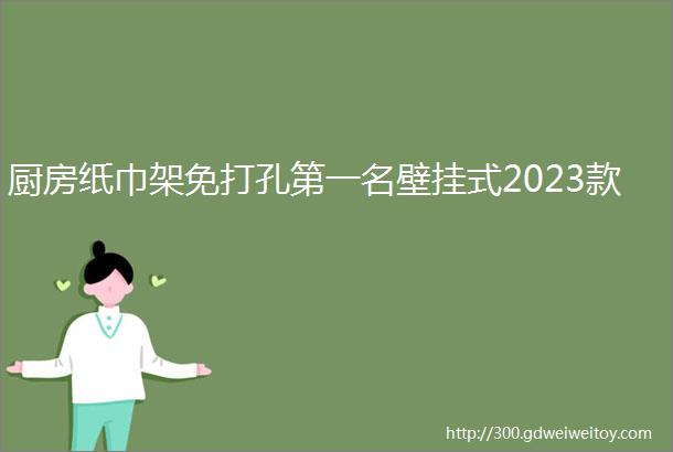 厨房纸巾架免打孔第一名壁挂式2023款